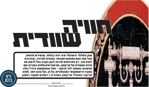 החוויה השוודית - גיא ברנע על חברת אריקסון