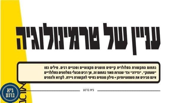 החוויה השוודית - גיא ברנע על חברת אריקסון