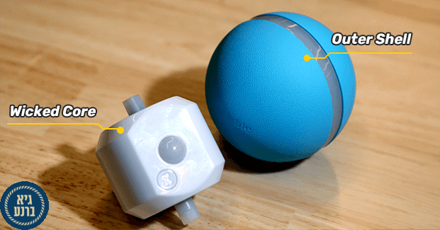 הכדור השובב - האושר של חיית המחמד שלך הכדור השובב - האושר של חיית המחמד שלך