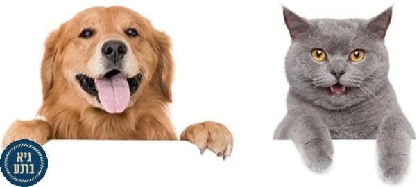 הכדור השובב - האושר של חיית המחמד שלך הכדור השובב - האושר של חיית המחמד שלך