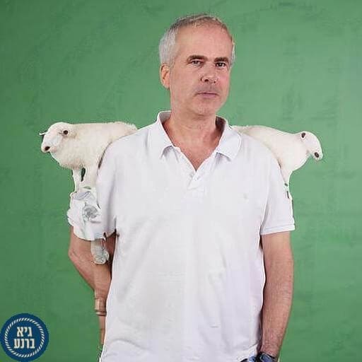 תמונות AI - מה זה הדבר הזה? גיא תמונת AI יוצא לרעות בשדות